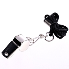 Metal Whistle - Pack of 12